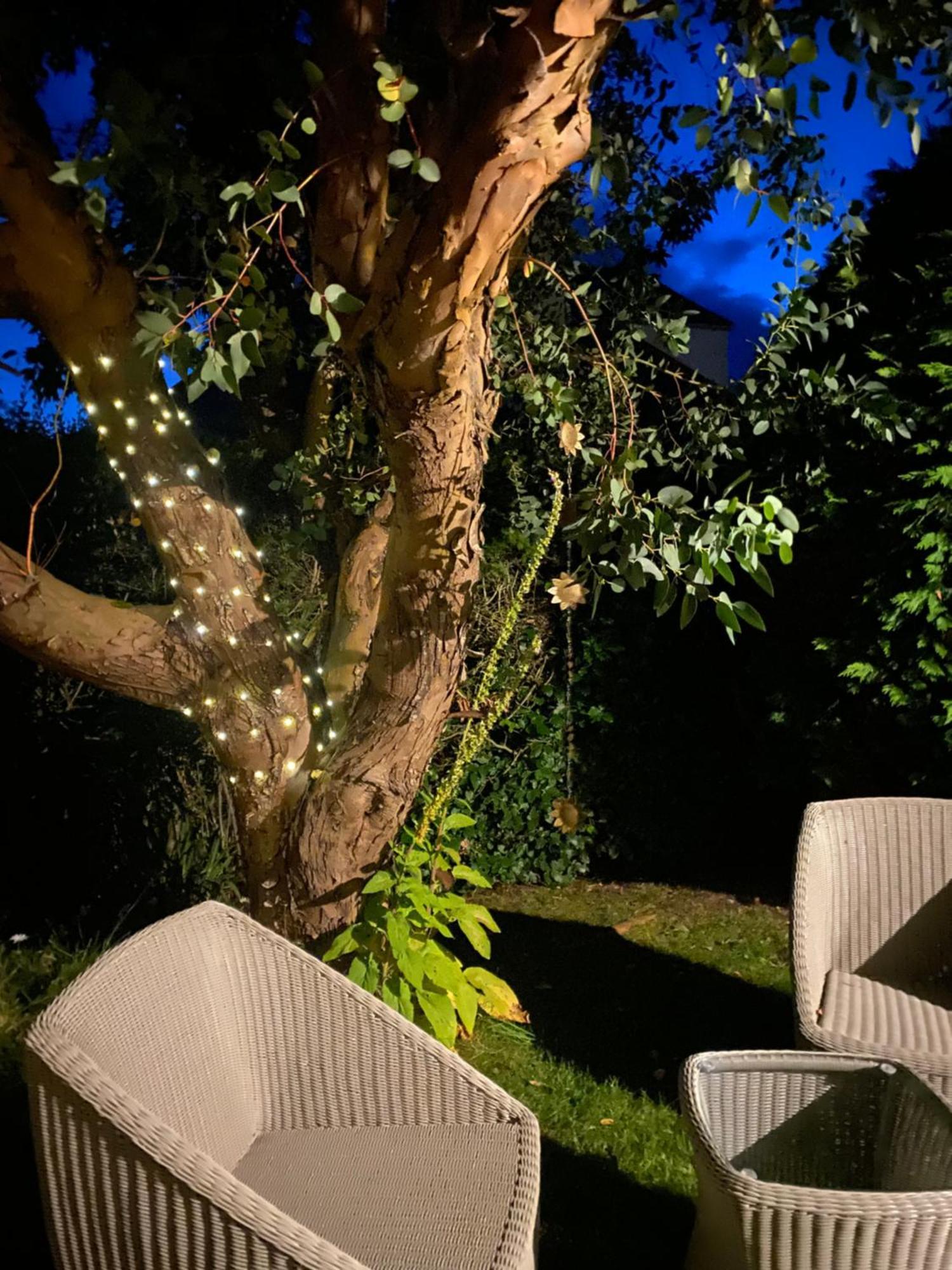 Glenburn, Private Studio Accommodation In Fochabers Εξωτερικό φωτογραφία