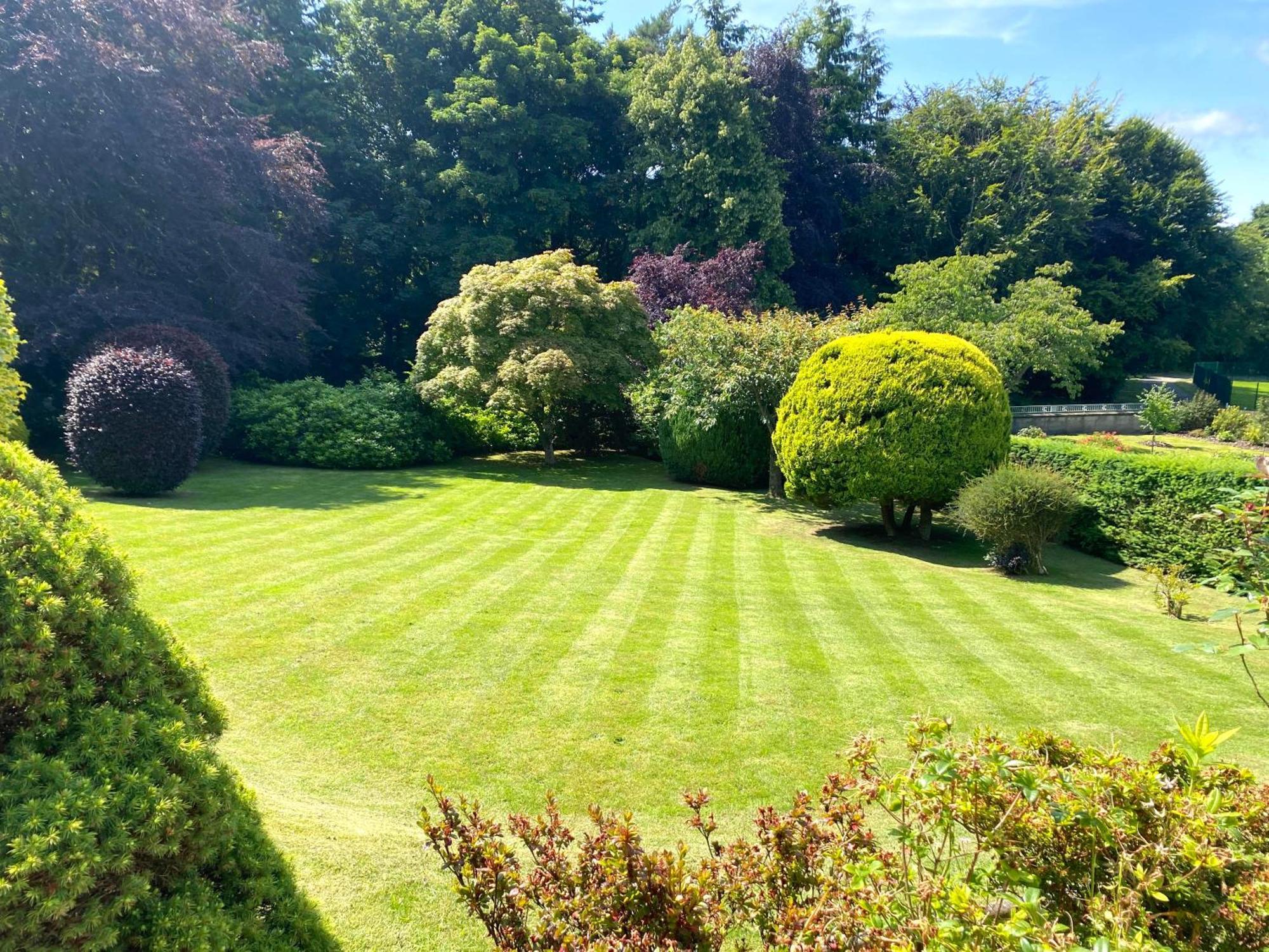 Glenburn, Private Studio Accommodation In Fochabers Εξωτερικό φωτογραφία
